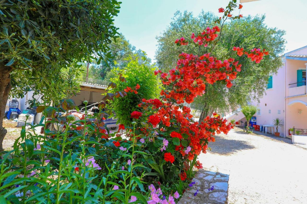 Agios Spyridon  Fran Apartments מראה חיצוני תמונה